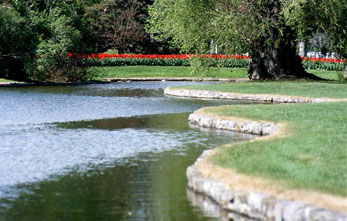 Pond Products and Supplies for Pond and Lake Cleaning